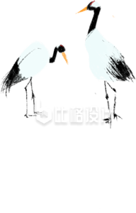仙鹤插画