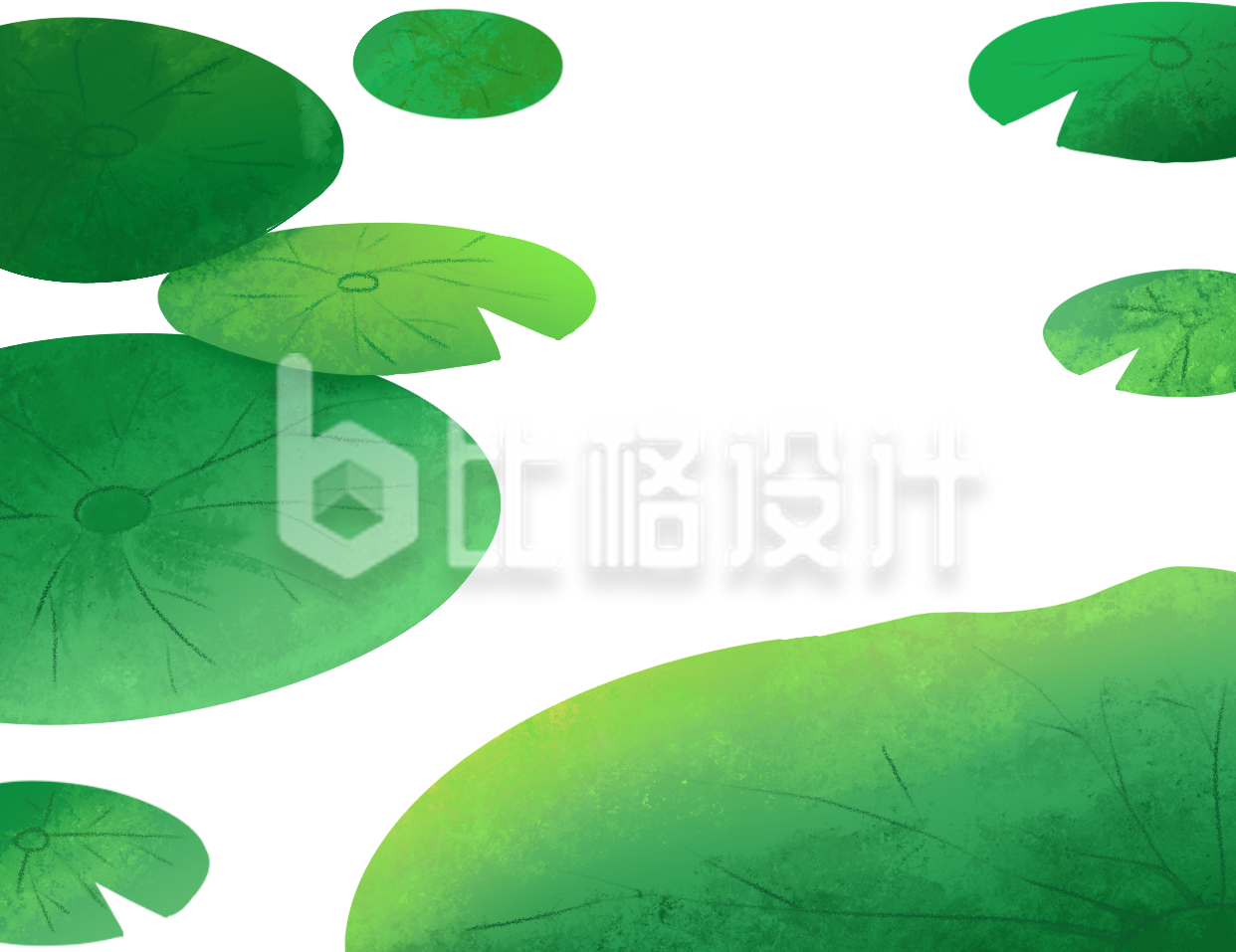 荷叶插画卡通