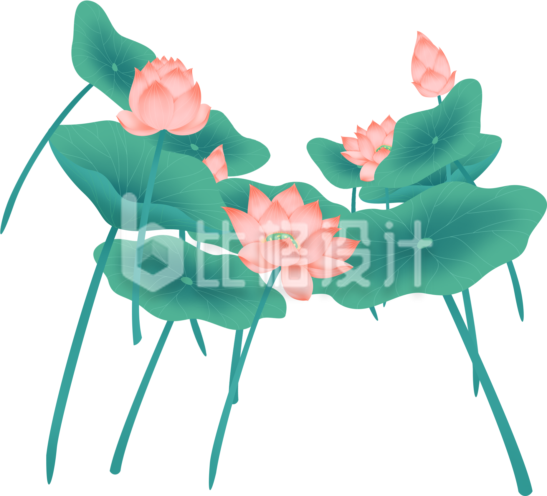 清新手绘荷花图 赏夏日风情