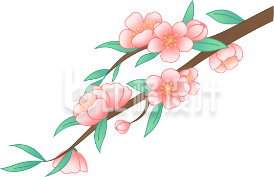 粉色桃花枝插画，尽显春日浪漫气息