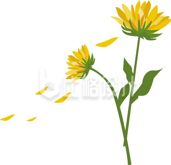 清新插画风格黄花朵朵飘素材图 清新插画风格黄花朵朵飘素材图