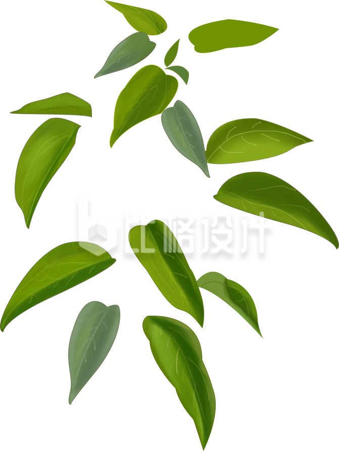 清新绿叶素材 适合多种宣传物料设计