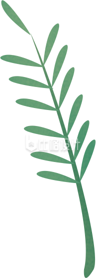 清新简约绿叶图案，打造自然系宣传物料