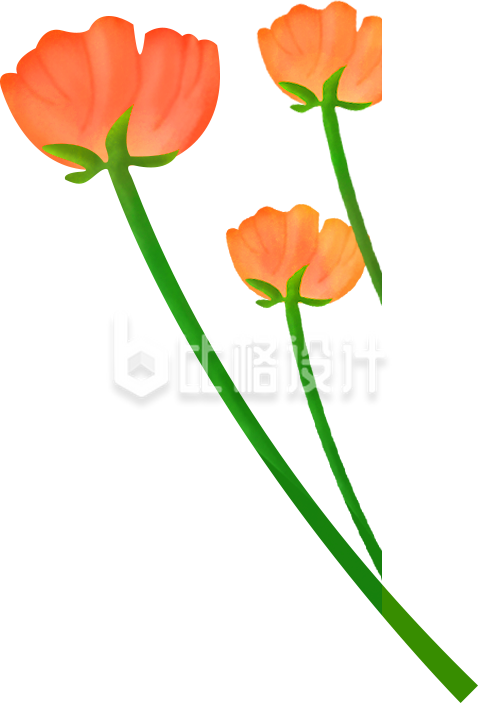 清新橙色花朵插画，装点浪漫氛围的鲜花素材