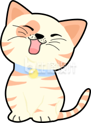 小猫