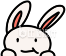 可爱兔子的脑袋