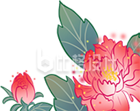 手绘插画牡丹花