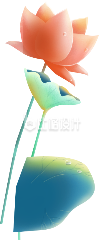 荷花插画卡通