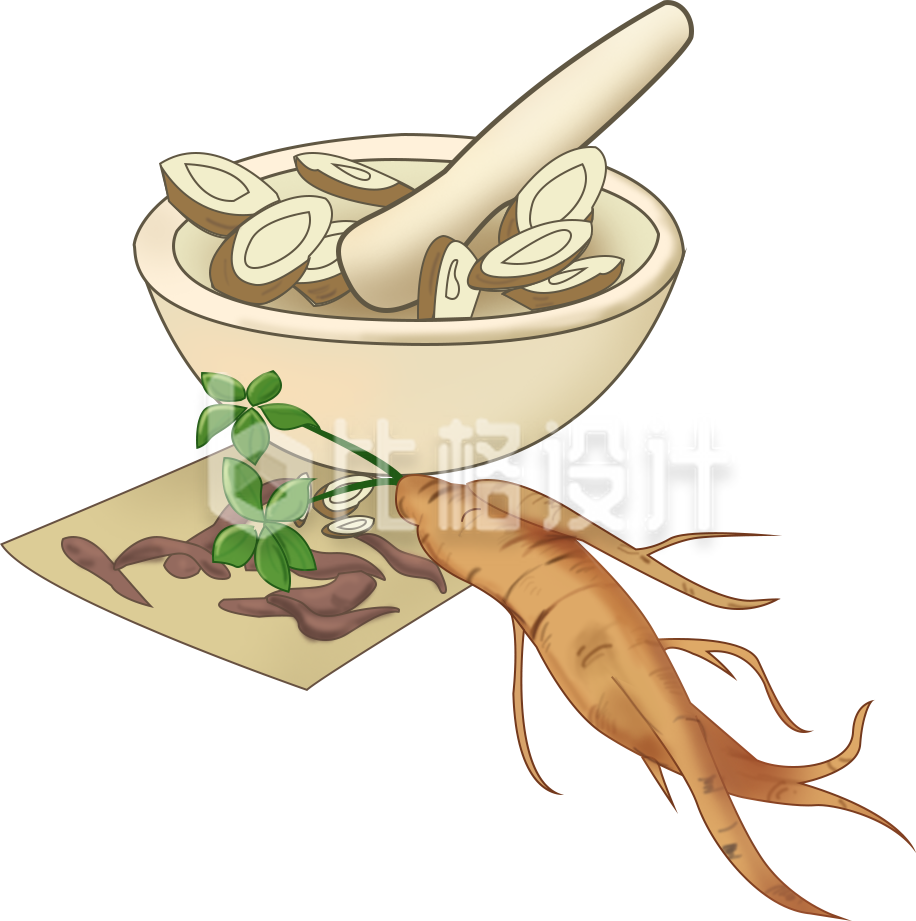 药草中药手绘插画