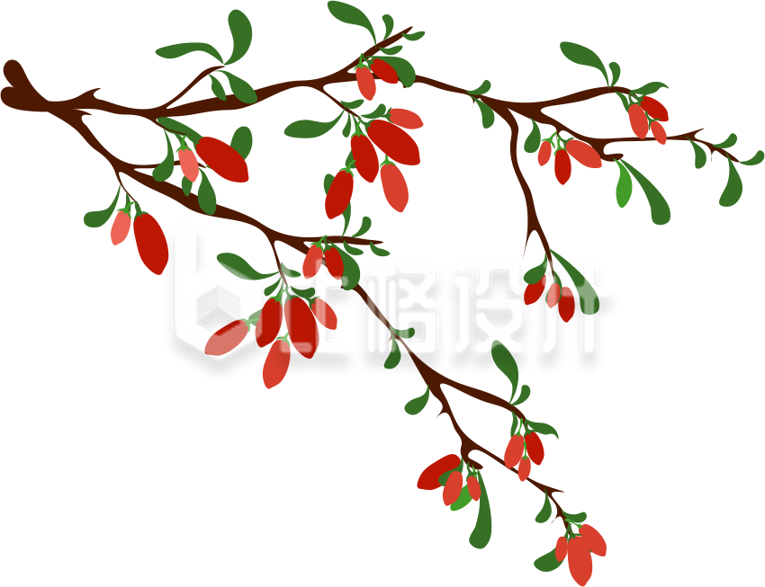 中药植物药草