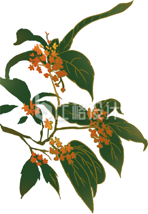 手绘国潮风桂花