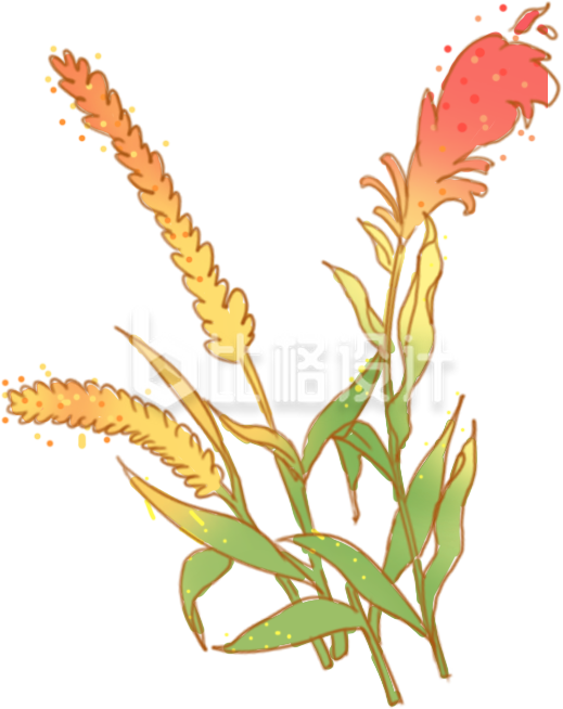 手绘国潮风麦穗水稻