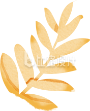 金黄树叶水彩画 可作装饰的艺术素材