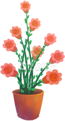 美丽盆栽插画,装点温馨家居好帮手 美丽盆栽插画,装点温馨家居好帮手