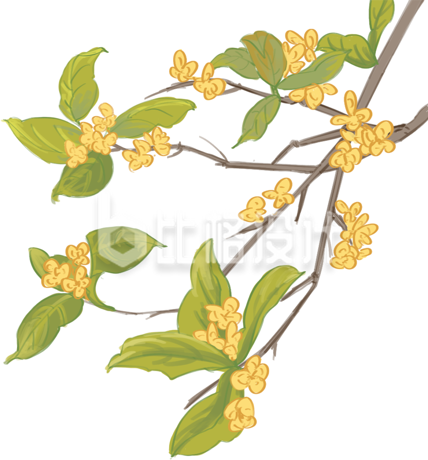 赏枝上桂花图 感受自然之美宣传物料