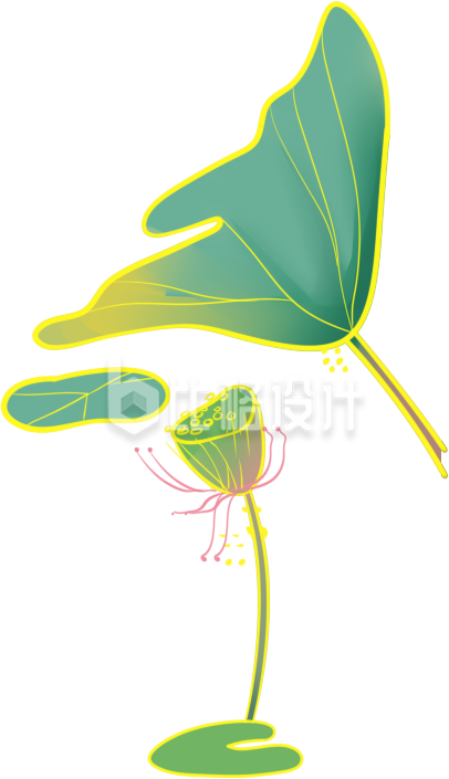 清新荷叶莲蓬插画 夏季节气宣传好素材