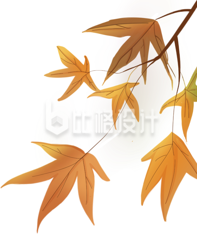 金黄枫叶枝装饰素材 尽显秋日浪漫氛围