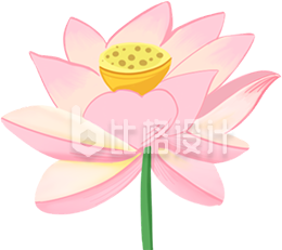 粉色莲花插画,清新唯美花卉宣传图 粉色莲花插画,清新唯美花卉宣传图