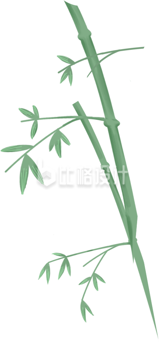 清新手绘竹枝图，尽显自然之美
