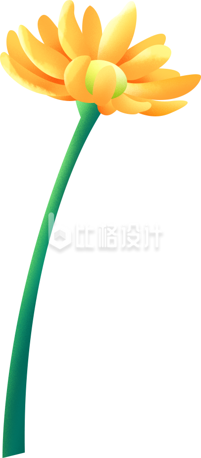 一朵黄色菊花手绘