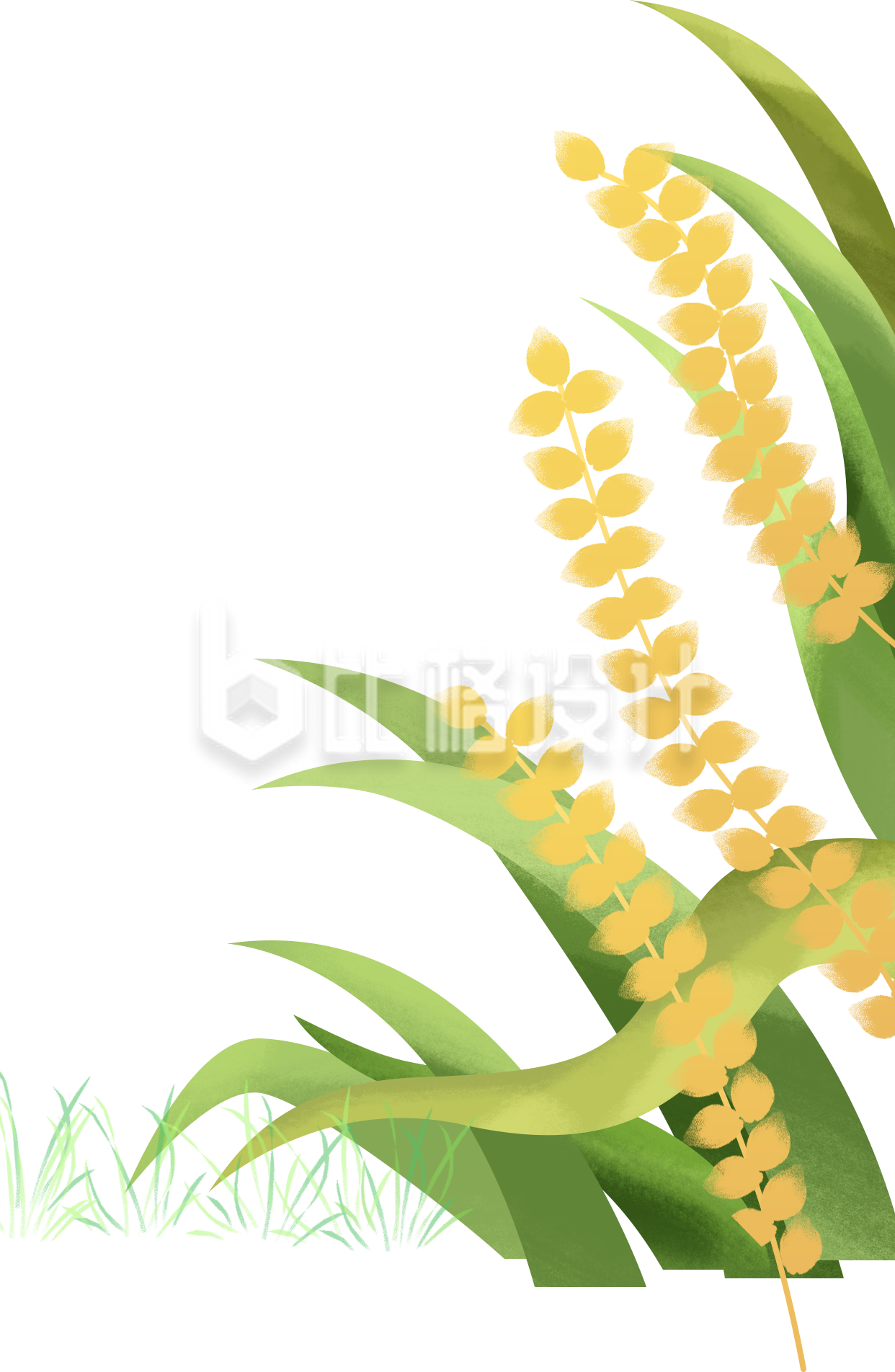 清新插画风格的小满节气稻谷宣传物料 清新插画风格的小满节气稻谷宣传物料