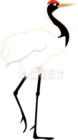 仙鹤插画手绘