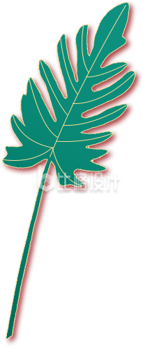 叶子插画手绘