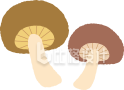蘑菇