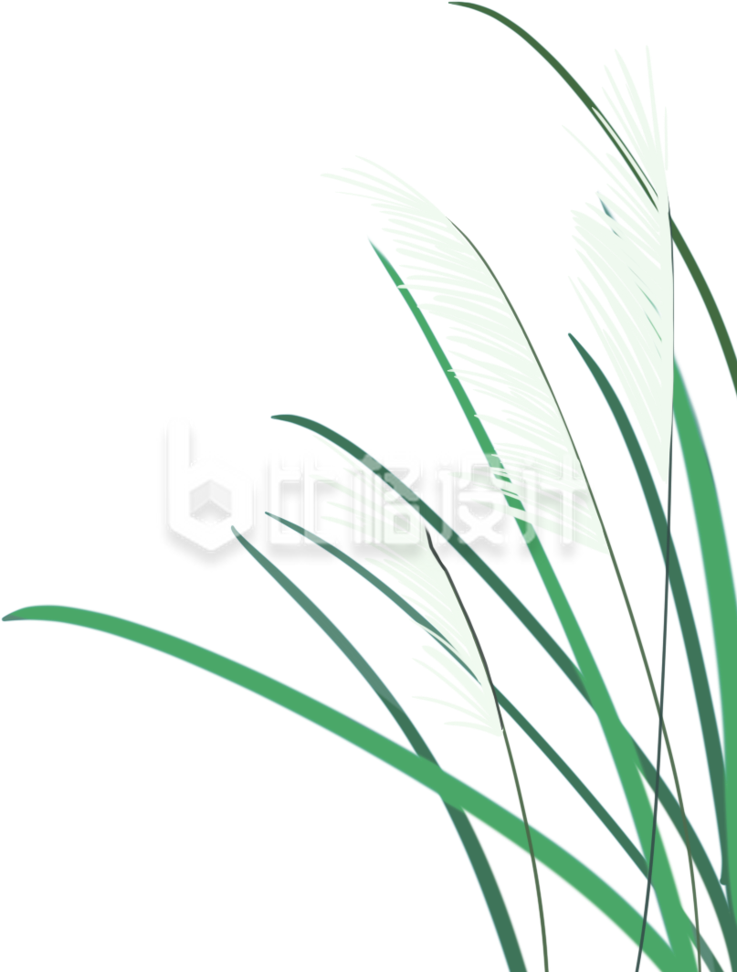 水草插画手绘