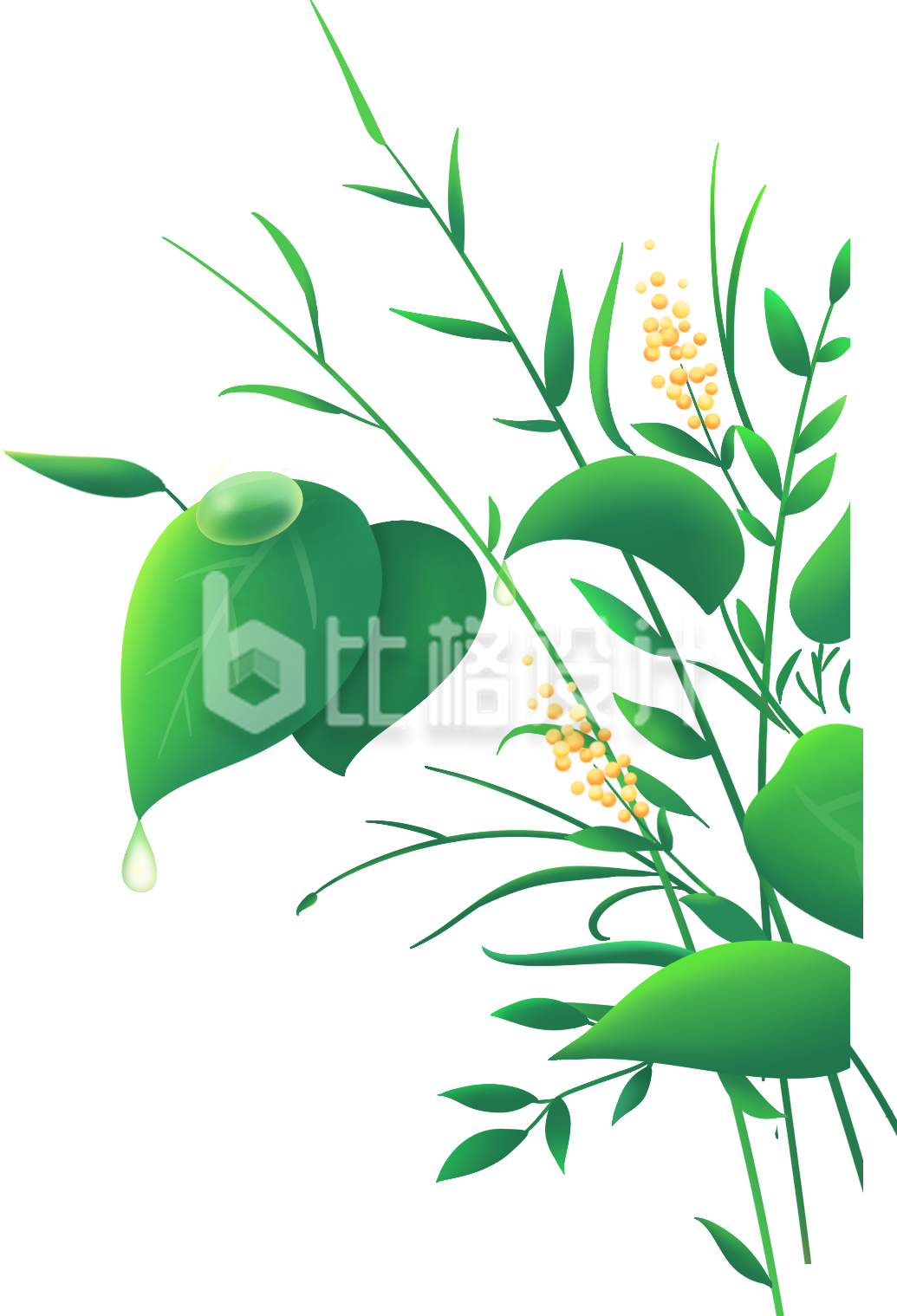 植物小草插画手绘