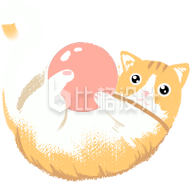 可爱的小猫