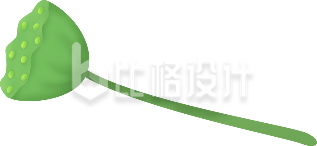 莲蓬插画手绘