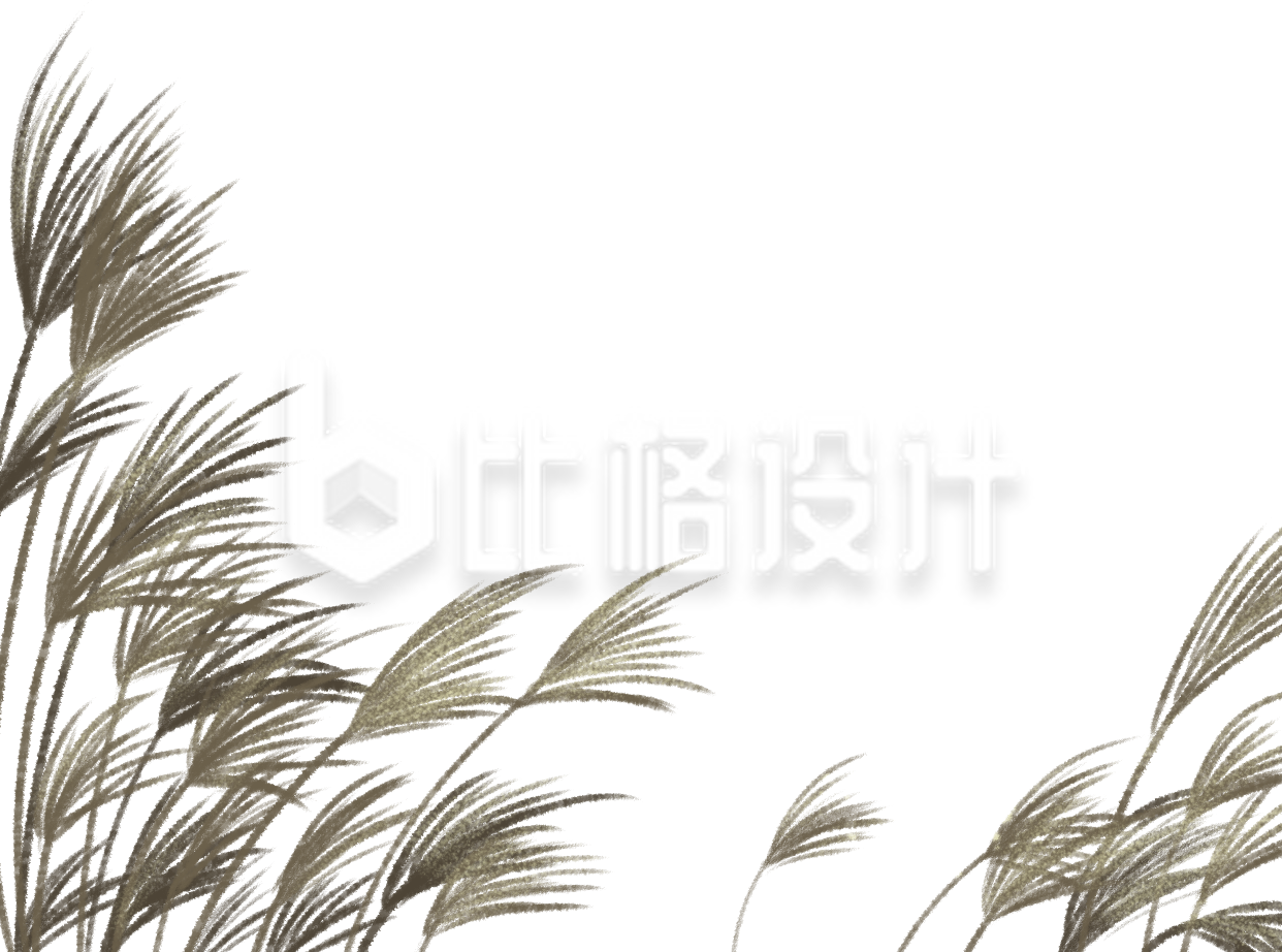 手绘芦苇