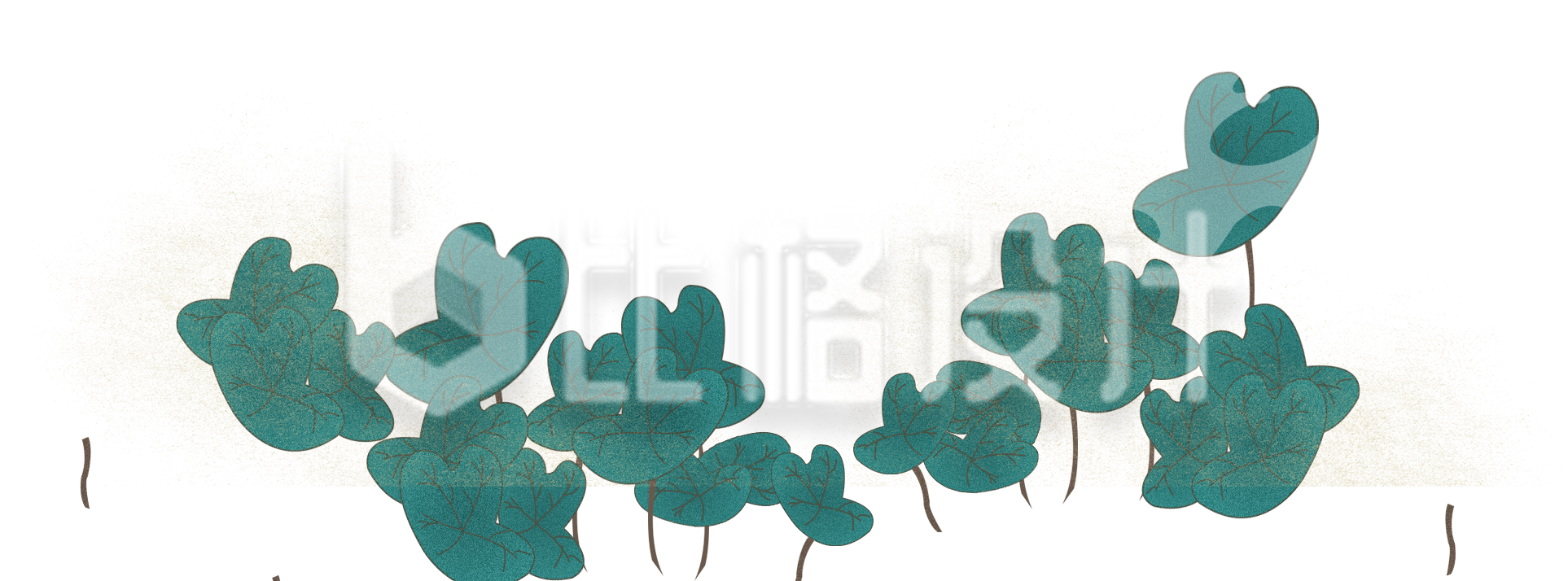 荷叶荷花插画手绘