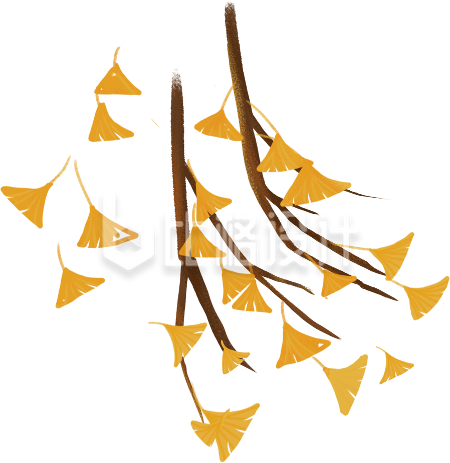 手绘秋天银杏枝叶