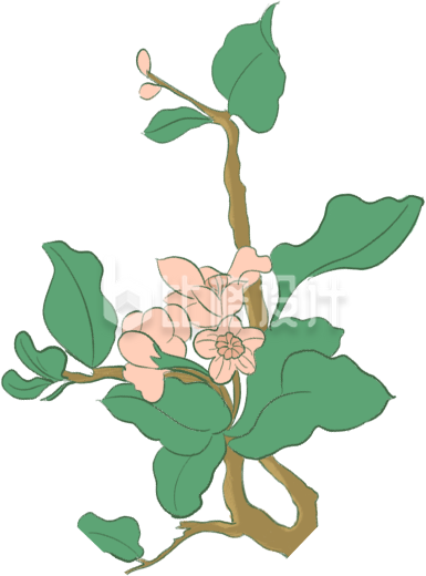 小花叶子藤蔓插画手绘