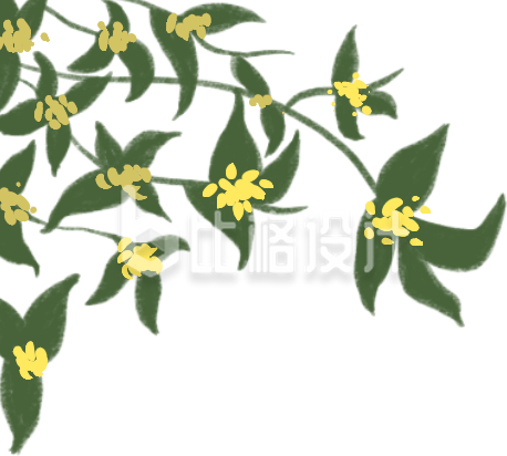 手绘桂花