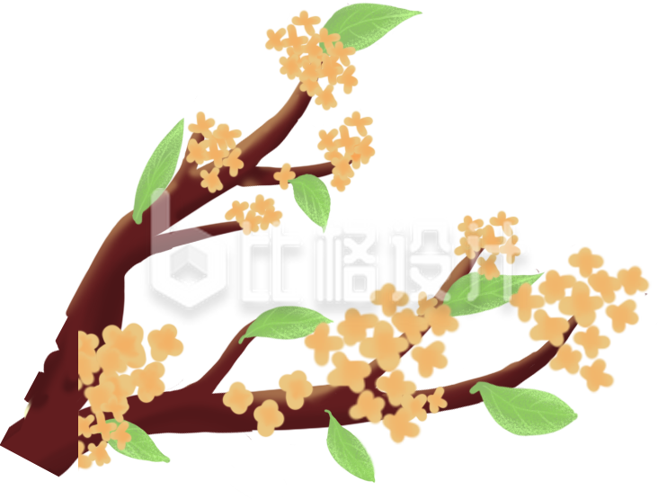 手绘桂花花枝