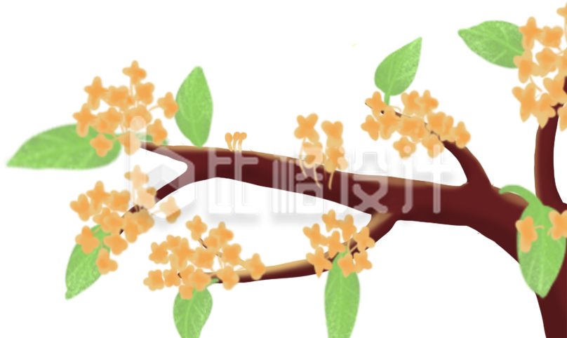 手绘桂花花枝