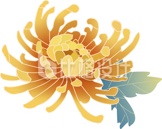 国潮风中国风菊花