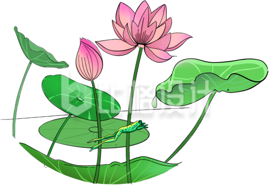 荷花手绘