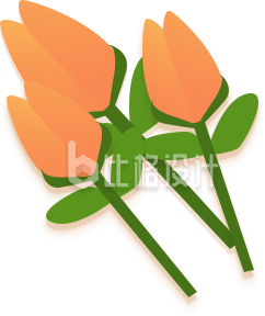 漂亮的一束小花手绘