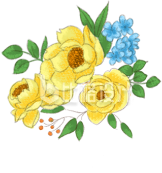 漂漂亮亮的小花手绘插画