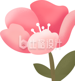 一束花手绘