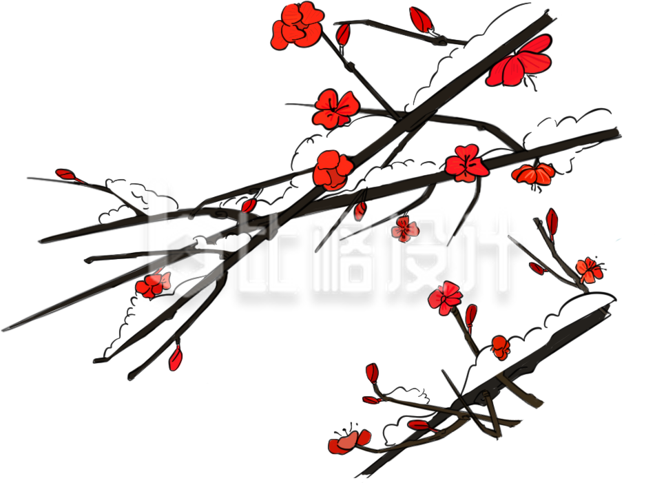 梅花手绘插画