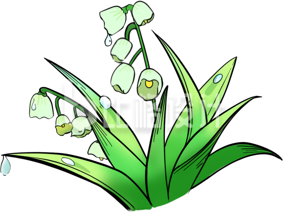 风铃花手绘