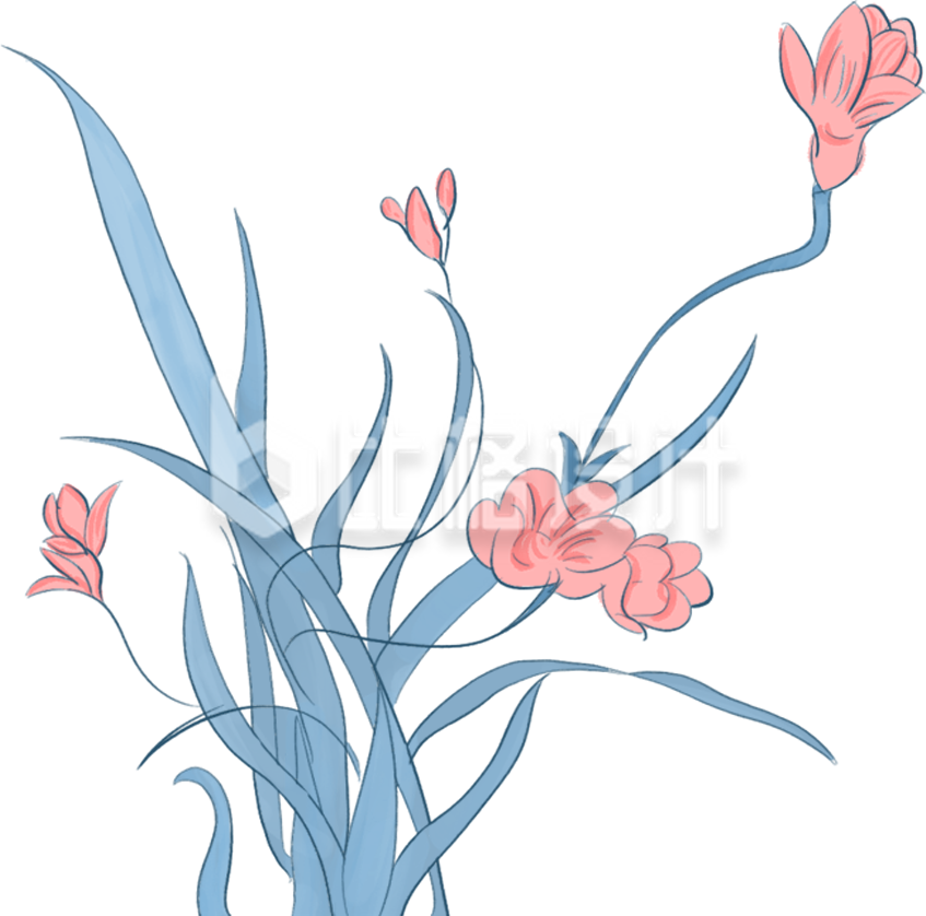 小花手绘插画