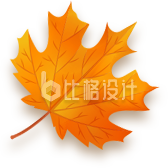 橙色枫叶图，打造秋季氛围的精美装饰素材