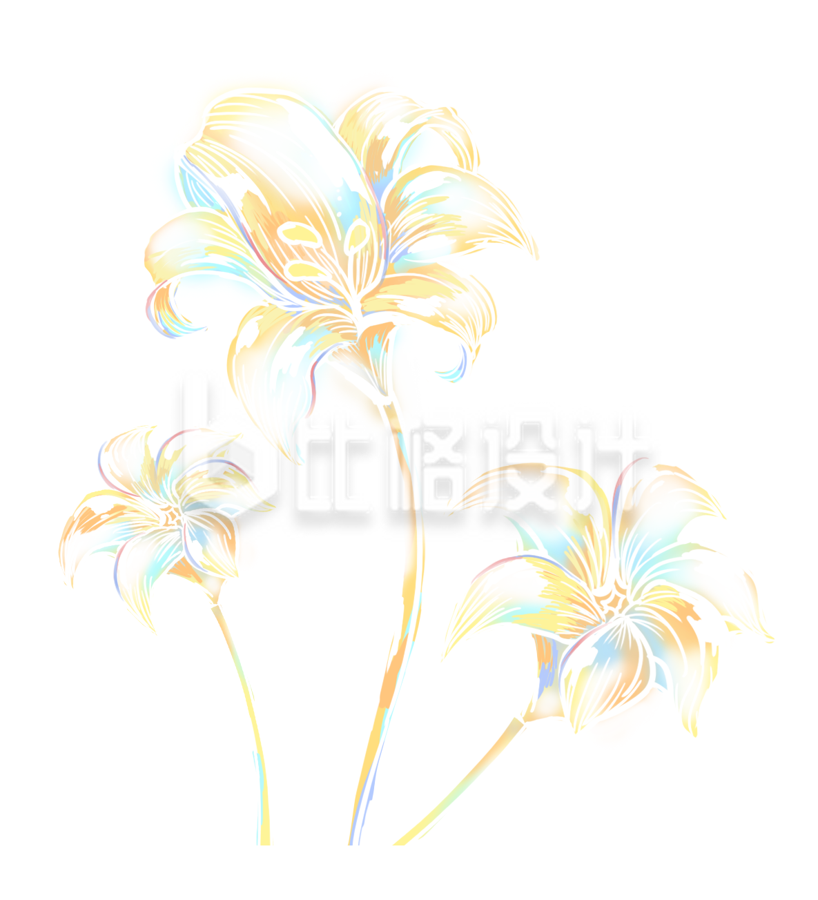 手绘百合花插画