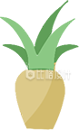 盆栽手绘插画